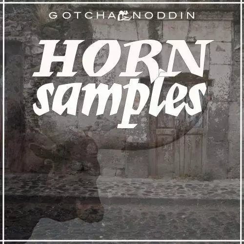 horn samples