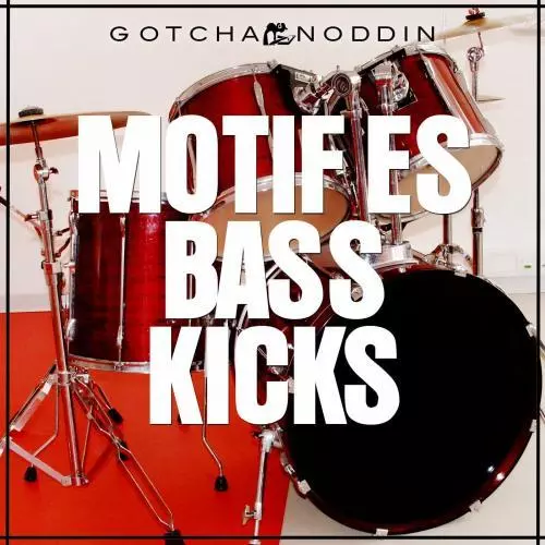 motif es bass kicks