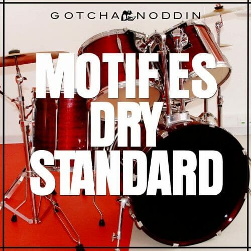 motif es dry standard